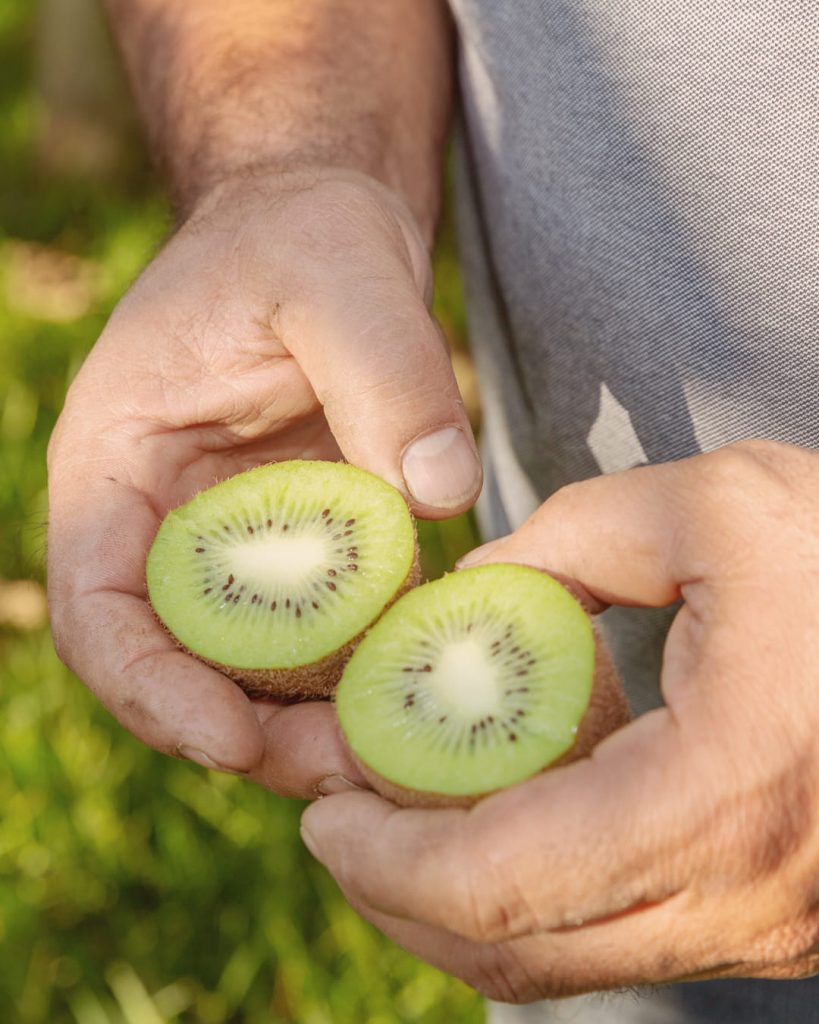 Qui est vraiment le kiwi ?