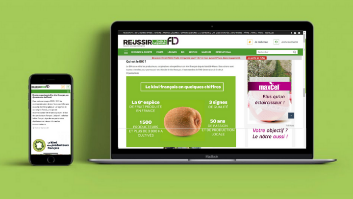 Reussir fruits et legumes kiwi