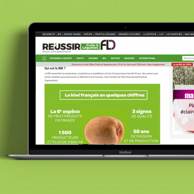 Reussir FLD article kiwi