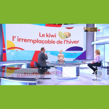 Le kiwi francais dans telematin