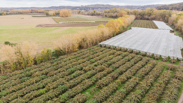 CTIFL enquete haies exploitations agricoles