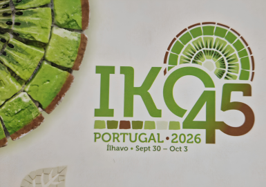 Image IKO 45 Portugal 2026
